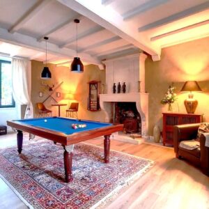 DOMAINE DE L'ESPAL - Le salon billard